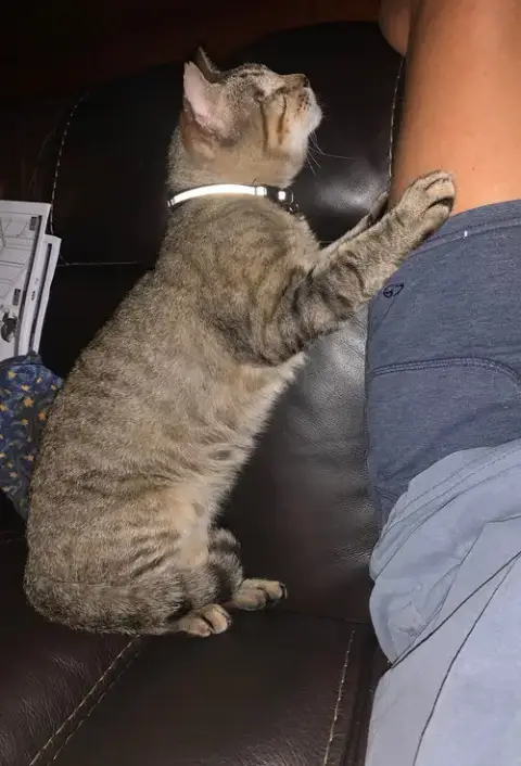 One Eyed Jack