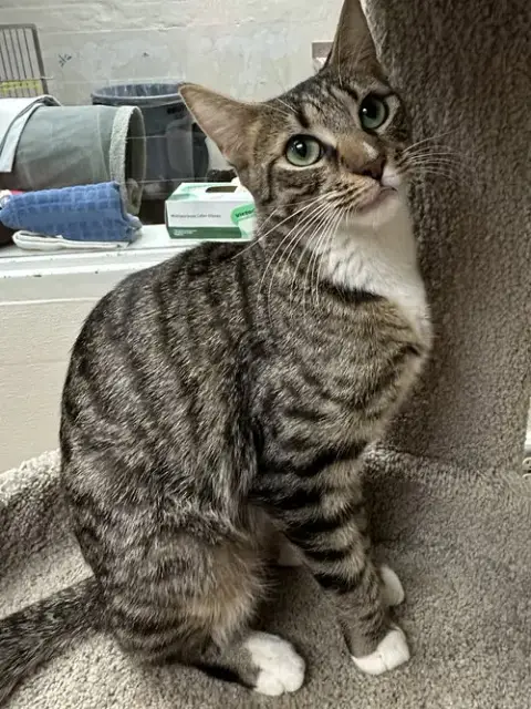 Tina photo 4