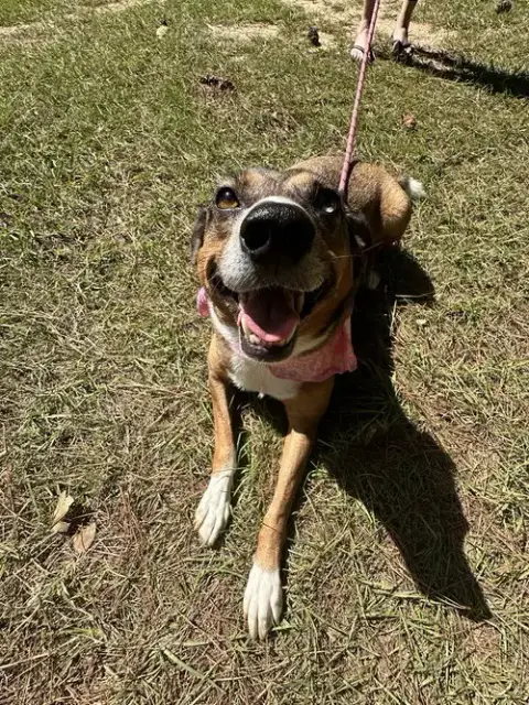 Lady photo 2