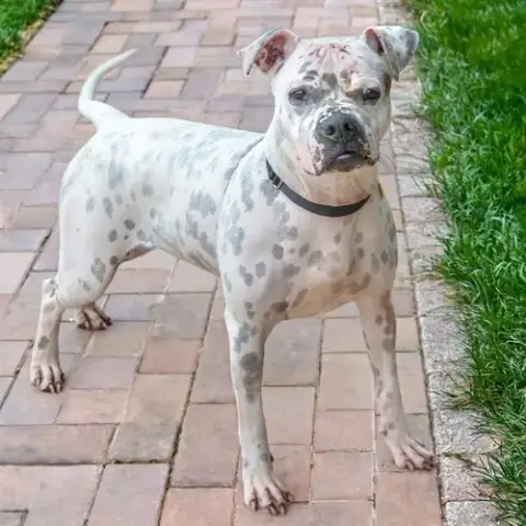 Lucy