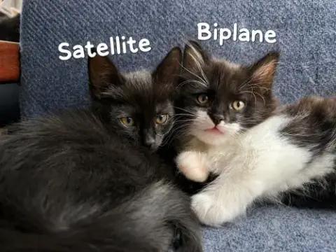 Satellite