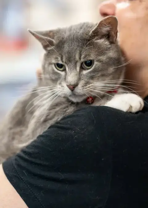 Grumpy photo 3