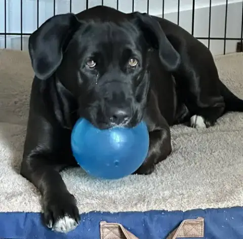 Maggie photo 3
