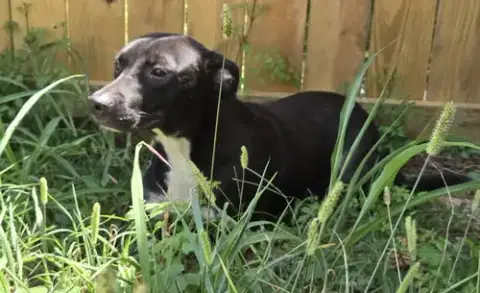 Skeeter photo 2