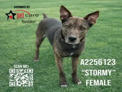 Stormy
