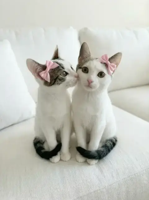 Zara & Zella
