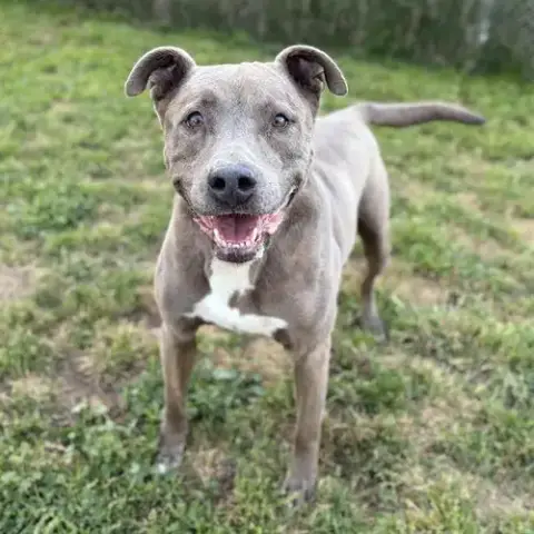 Zeus