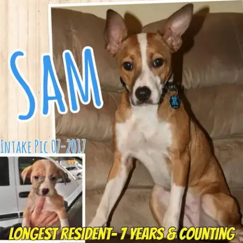 Sam