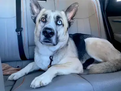 Zeus photo 3