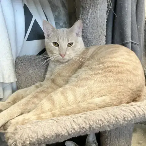 Flopsy photo 2