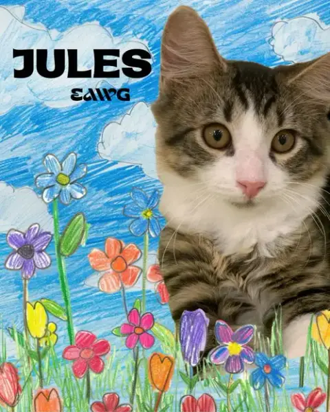 Jules