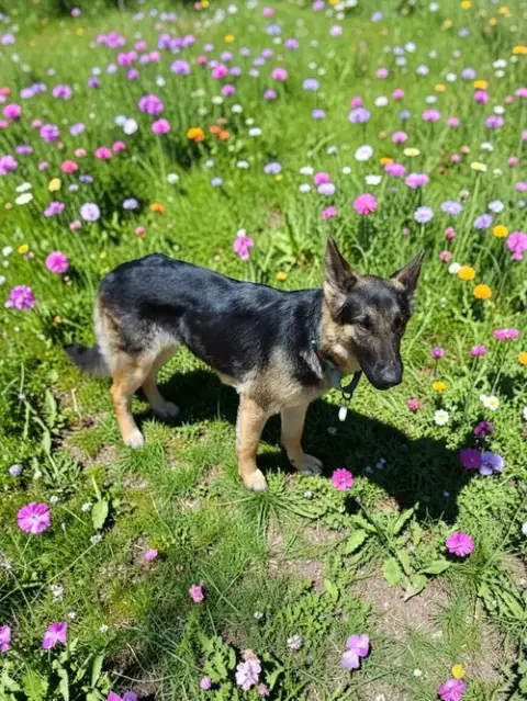 Bonnie