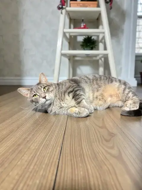 Monroe