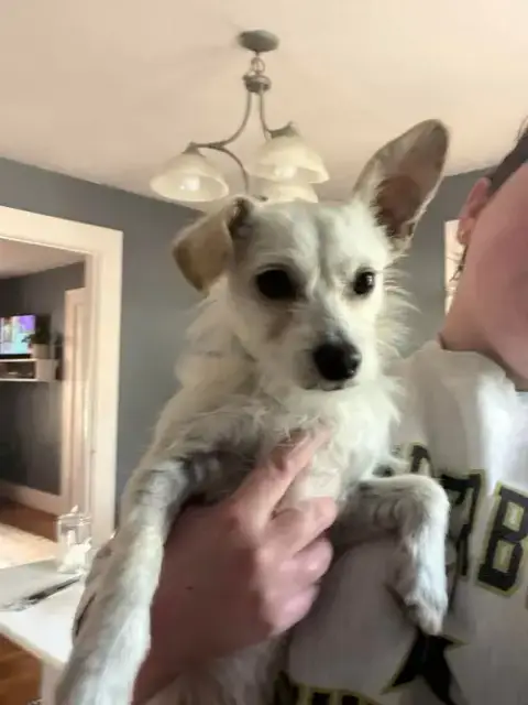 Arlo photo 2
