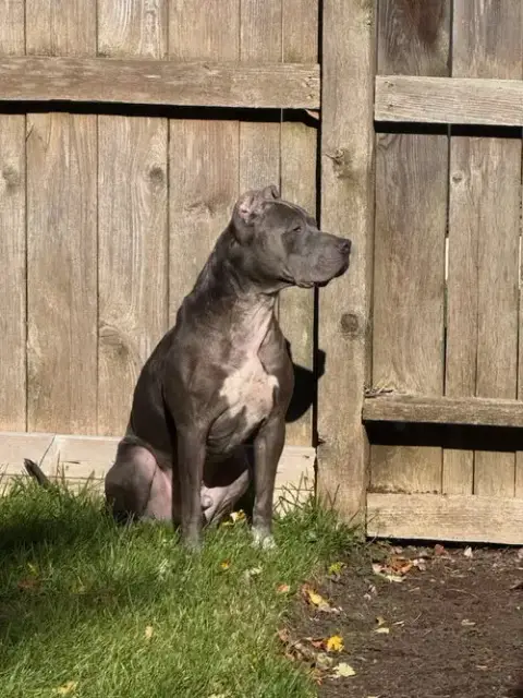 Toby photo 5
