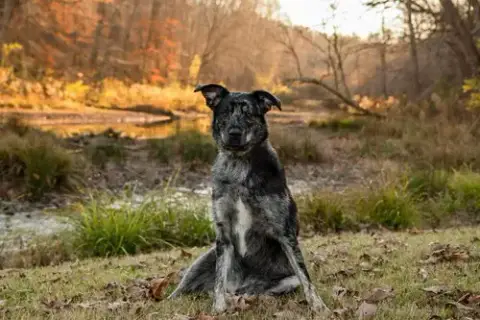 Jake photo 2