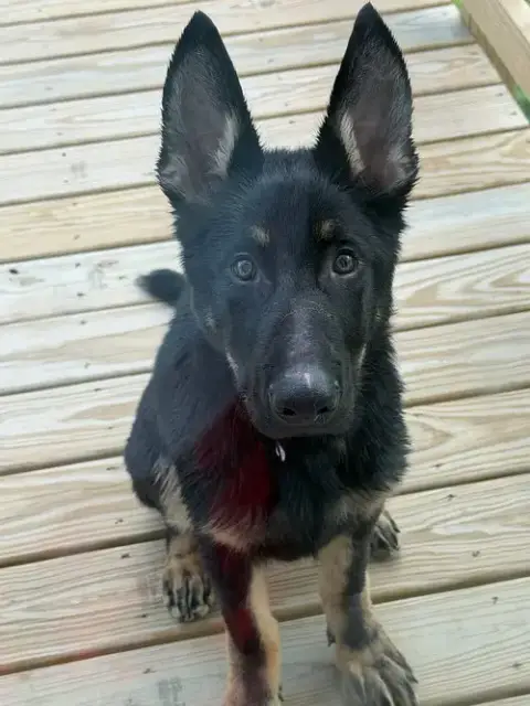 Loki Cool photo 3