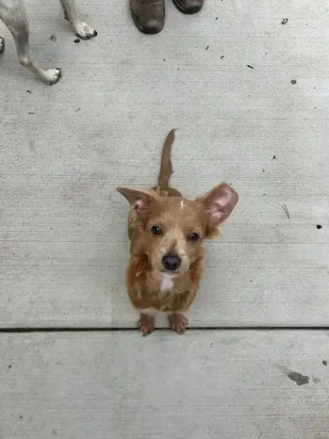 Latte photo 2