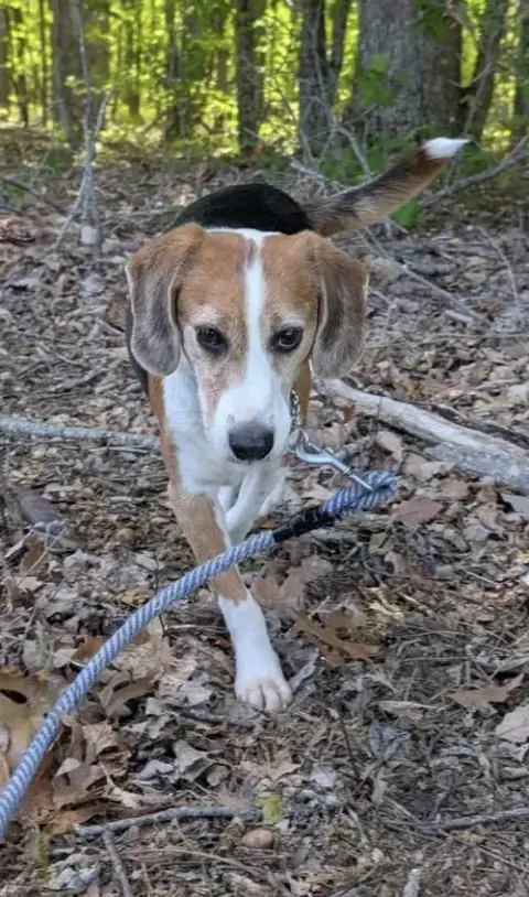 Hightower: Not At Shelter photo 5