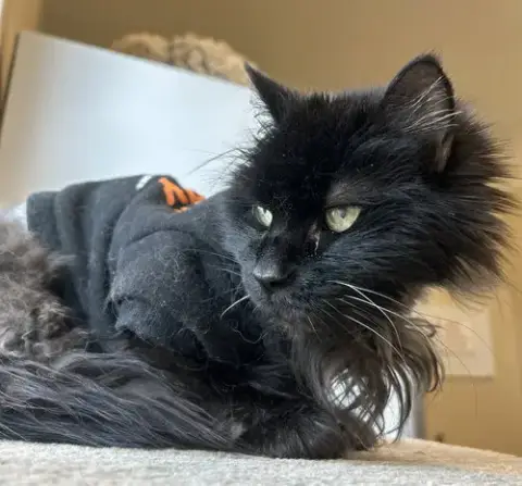 Missy