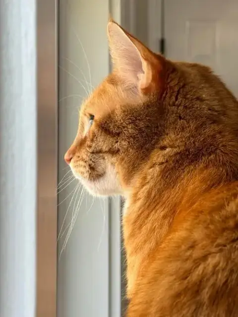 Courtessy Post-Precious photo 4
