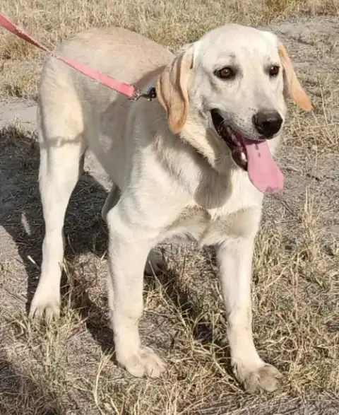 Nimbus photo 5
