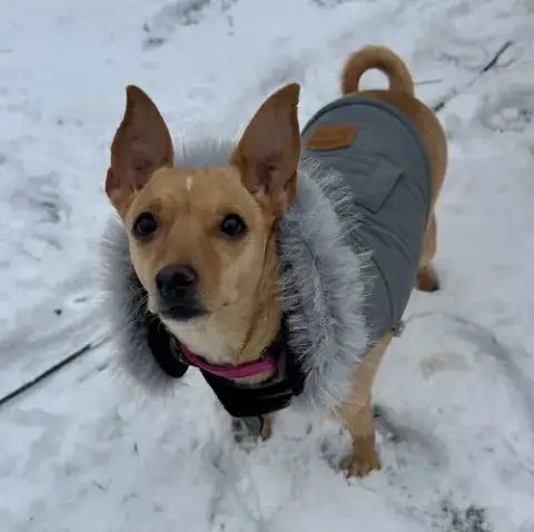 Maggie photo 4