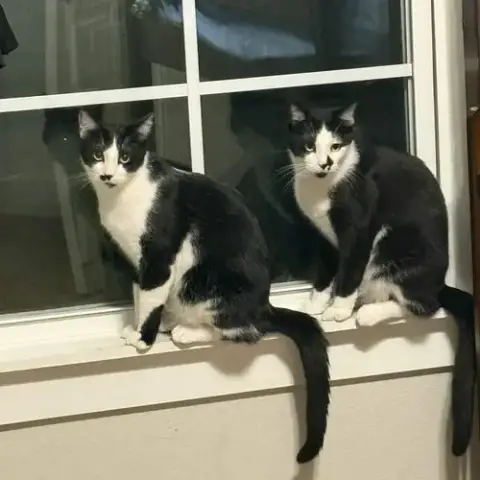 Lefty And Righty photo 5