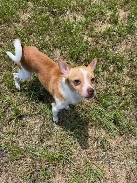 Charlie photo 3