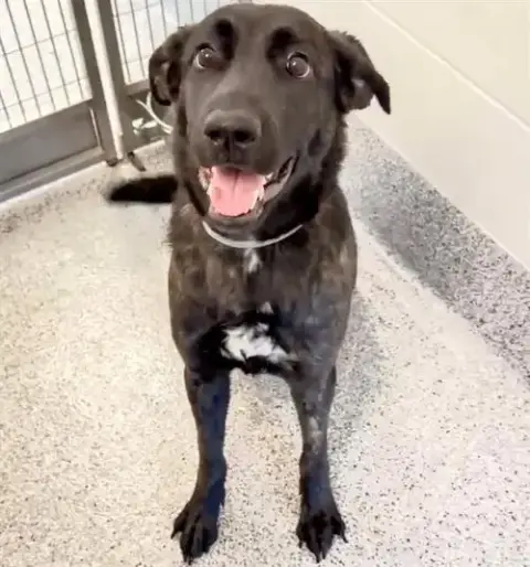 Luna