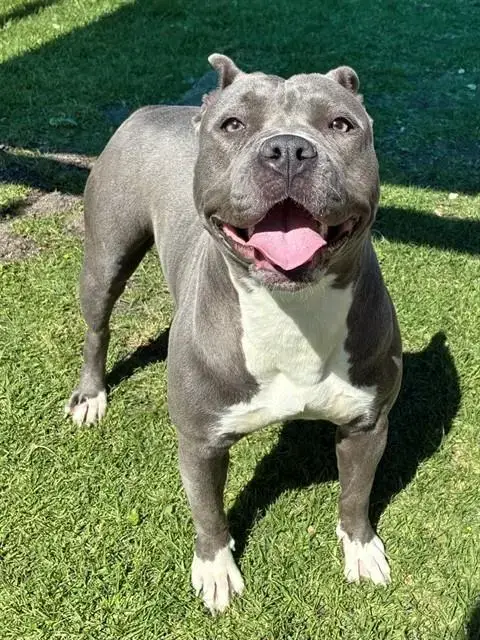 Lola