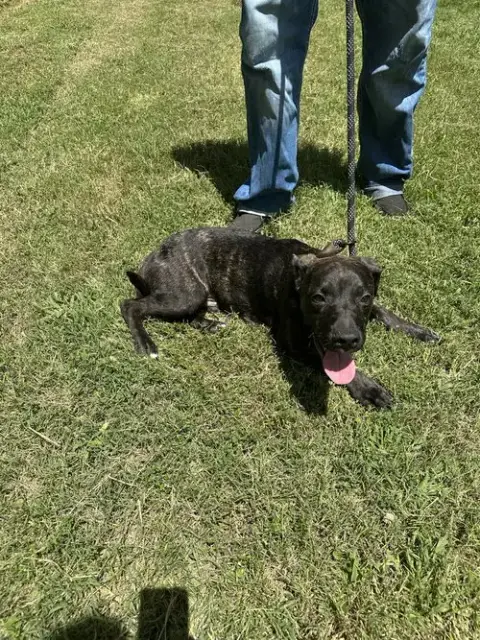 Wally photo 4