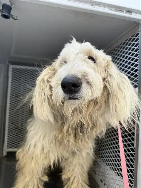 *Max