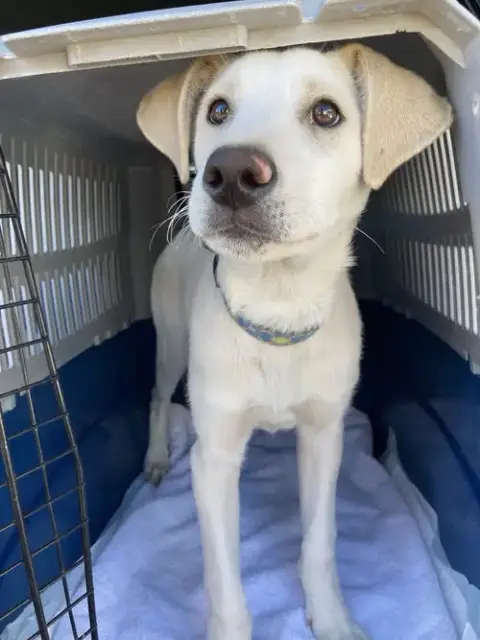 Buddy photo 2