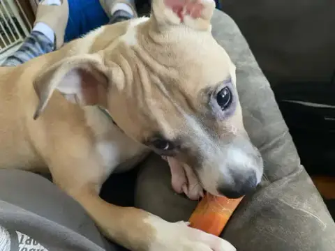 Courtesy Post: Spike