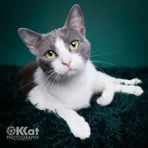 Luna photo 3