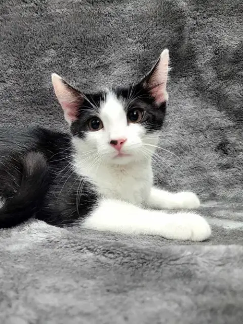 Charlie photo 2