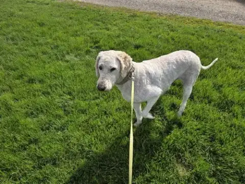 Obie photo 2