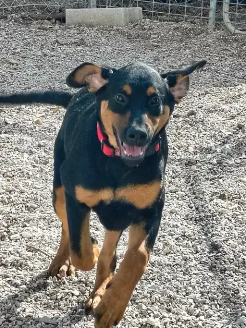 Pablo
