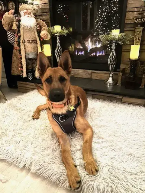 Winston photo 2
