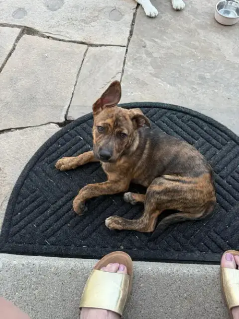 Marlee photo 3