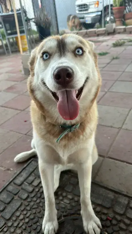 Luna photo 3