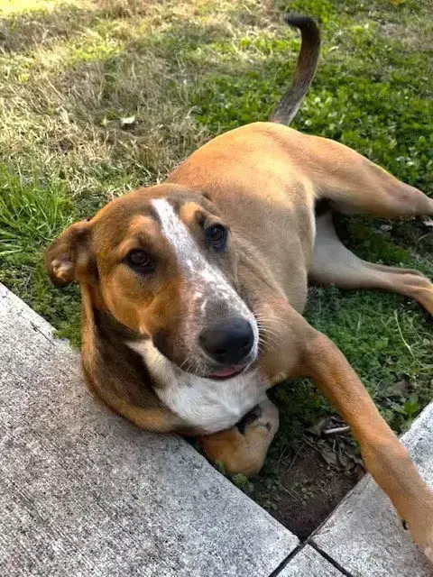 Gwen photo 2