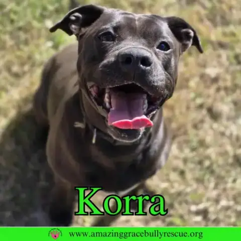 Korra photo 4