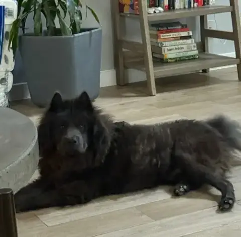 Boris