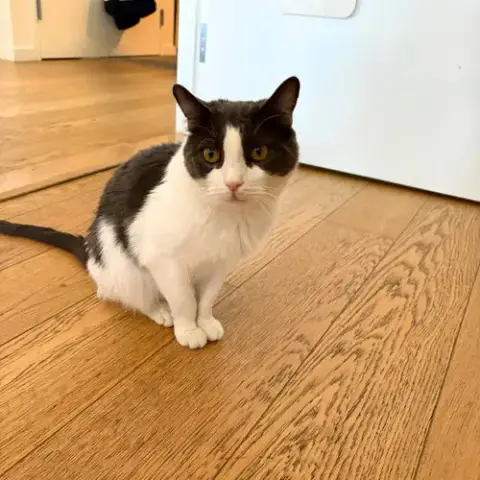 Oscar