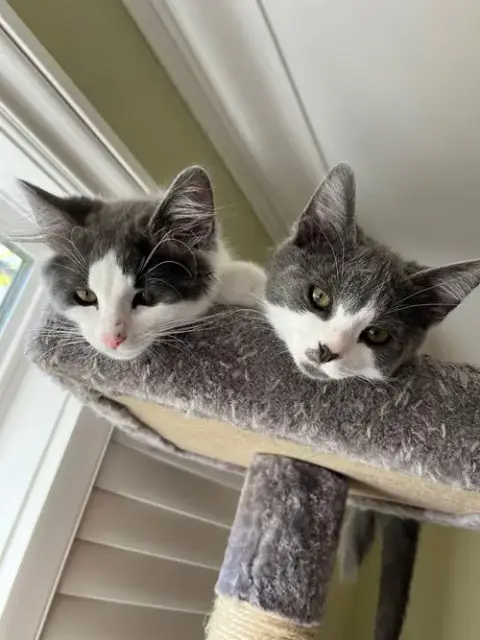 Poppy & Stella photo 4