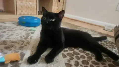 Ziggie photo 3