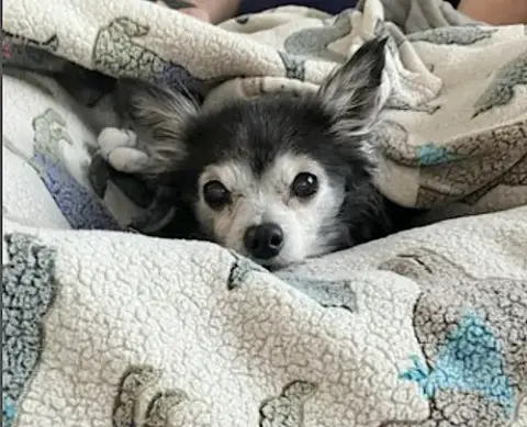 Penny photo 3