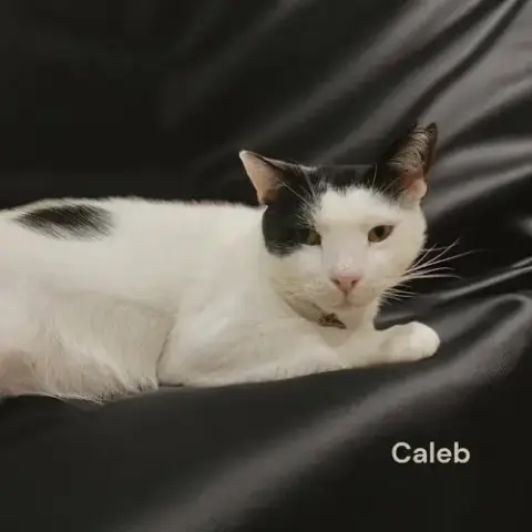 Caleb photo 4